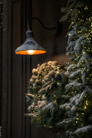 free-photo-of-lamp-illuminating-christmas-tree-and-wreath